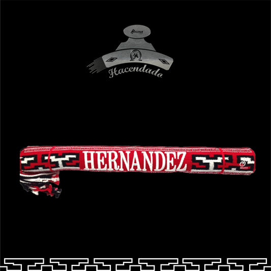 SARAPE CHARRO HACENDADO CON BORDADO 3D